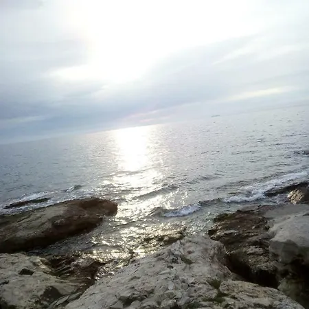 App Emona * Bašanija